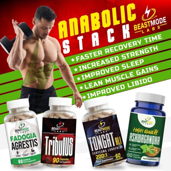 Natural Anabolic Stack